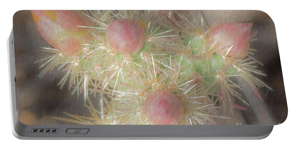 Cactus Portable Battery Charger featuring the photograph 1621 Watercolor Cactus Blossom by Kenneth Johnson