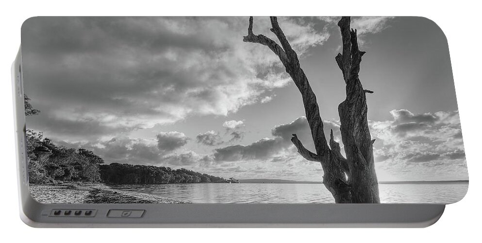 Tree Portable Battery Charger featuring the photograph 1703rise4bw by Nicolas Lombard