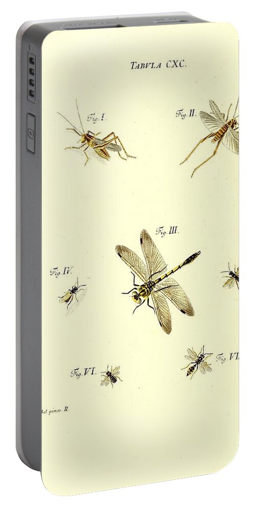 Grasshoppers Portable Battery Charger featuring the mixed media Insects #174 by World Art Collective