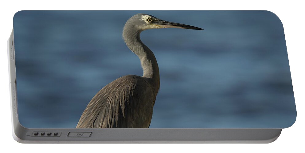 Heron Portable Battery Charger featuring the photograph 1808wfaceheron3 by Nicolas Lombard