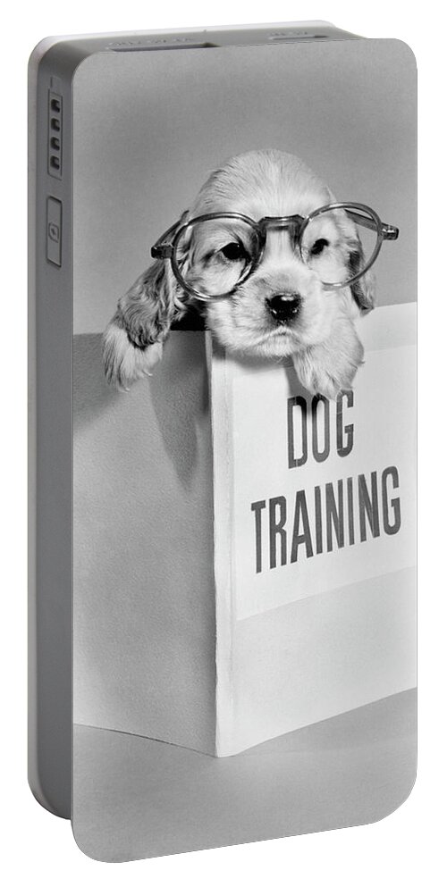 B&w Black And White 1950s 1960s Amusing Animals Bizarre Book Canines Canine Cocker Comedy Comical Comic Cute Dogs Domestic Eccentric Education Erratic Eyeglasses Funny Glasses Grotesque Head And Shoulders Home Life Humanize Humor Humorous Idiosyncratic Indoors Information Mammals Manual Outrageous Over Paws Pets Pet Puppies Puppy Reading Read Silly Single Spaniel Stress Training Unconventional Wacky Wearing Weird Zany Retro Vintage Nostalgia Nostalgic Old Fashioned Old Fashion Old Time Classic Portable Battery Charger featuring the photograph 1950s Cocker Spaniel puppy wearing glasses with paws over dog training manual by Panoramic Images