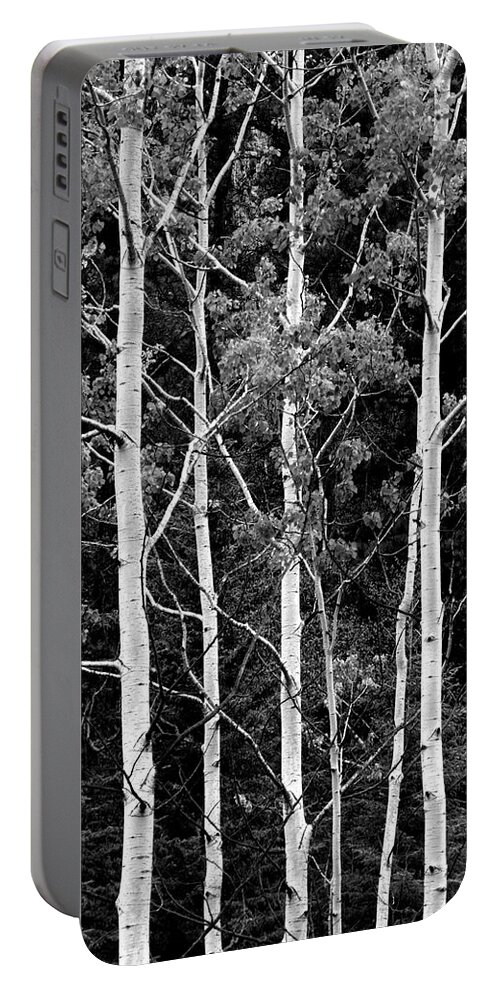 Aspen Portable Battery Charger featuring the photograph Aspens by Larry Bohlin