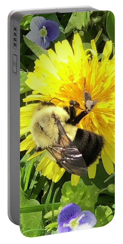 Bumblebee - Plugged In