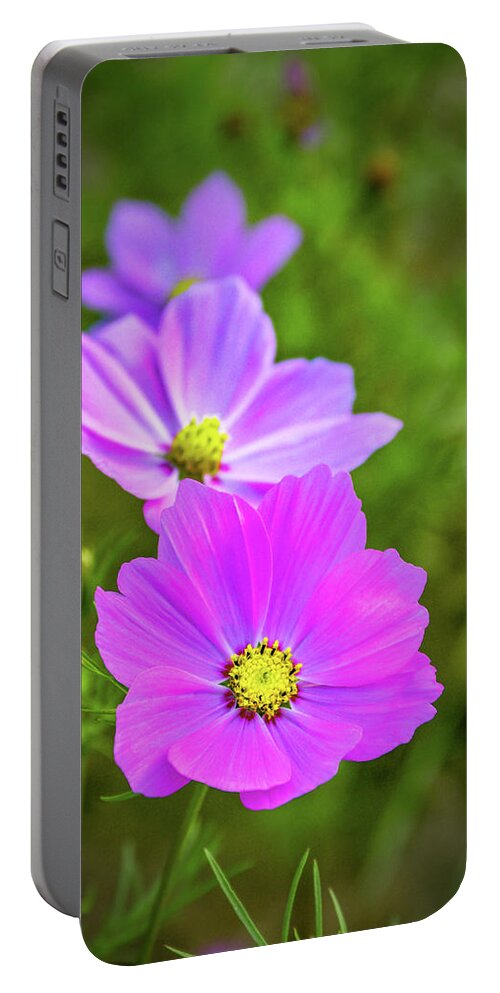 Green Background Portable Battery Charger featuring the photograph Cosmos Flower #2 by Carlos Caetano