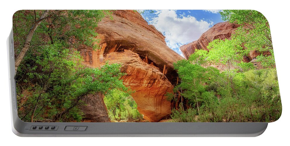 Abstract Portable Battery Charger featuring the photograph Coyote Natural Bridge #2 by Alex Mironyuk