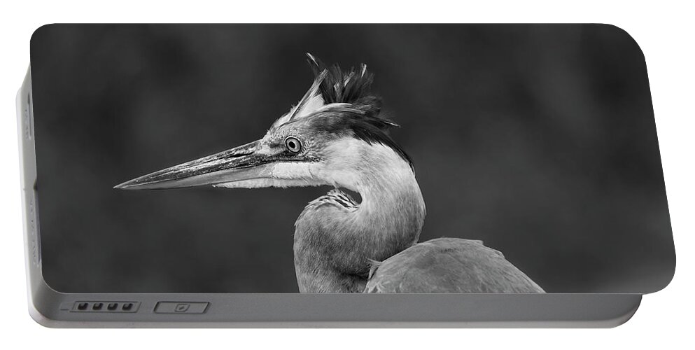  Portable Battery Charger featuring the photograph Great blue heron by Puttaswamy Ravishankar