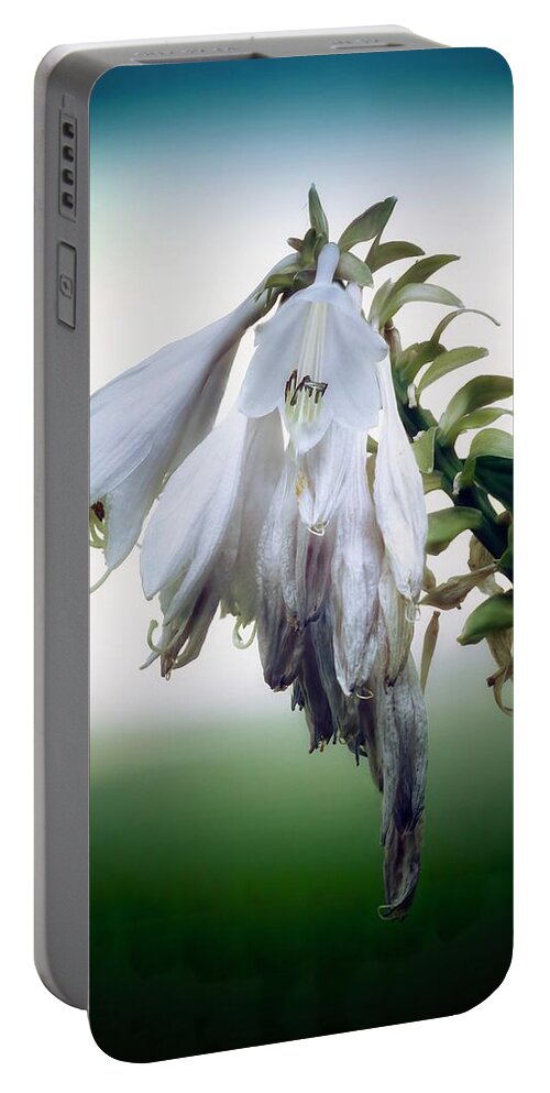 Blue Portable Battery Charger featuring the photograph Hosta #2 by RicharD Murphy