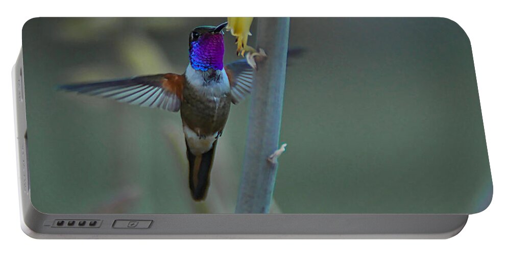 Humming Bird Portable Battery Charger featuring the photograph Humming Bird in Flight #3 by Montez Kerr