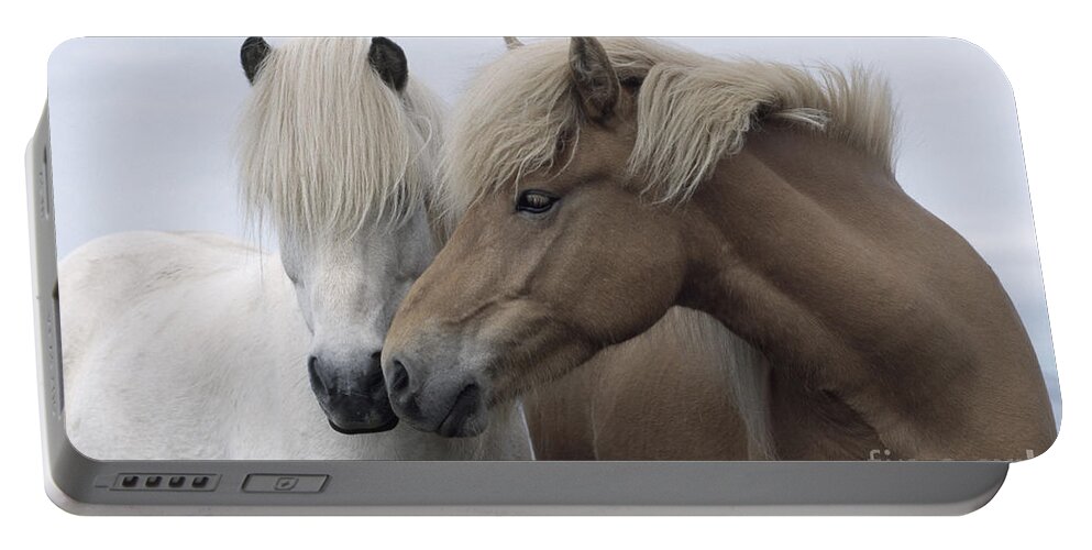 Affection Portable Battery Charger featuring the photograph Icelandic Horses by John Daniels