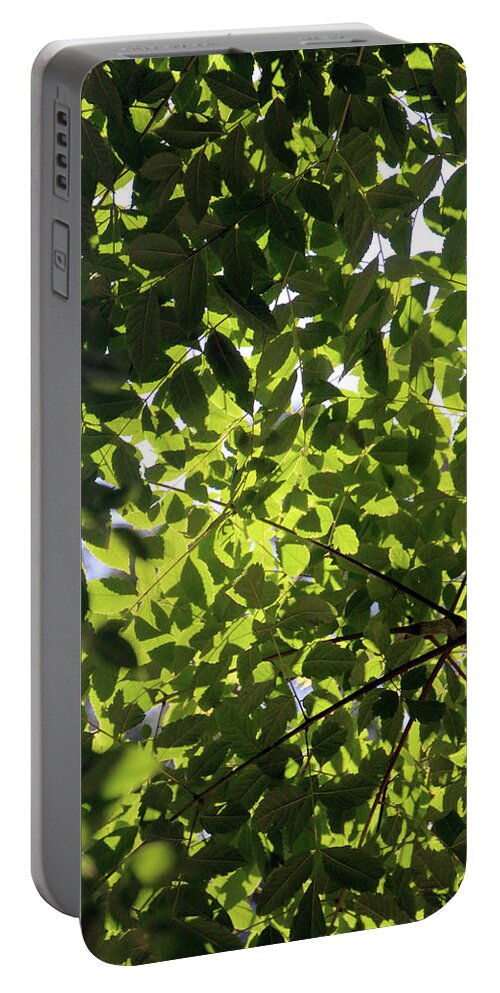 Leaves Portable Battery Charger featuring the photograph Leaves9384 #2 by Carolyn Stagger Cokley