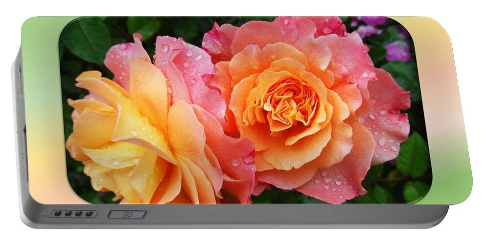 Roses Portable Battery Charger featuring the photograph 2 Magnificent Roses by Nancy Ayanna Wyatt