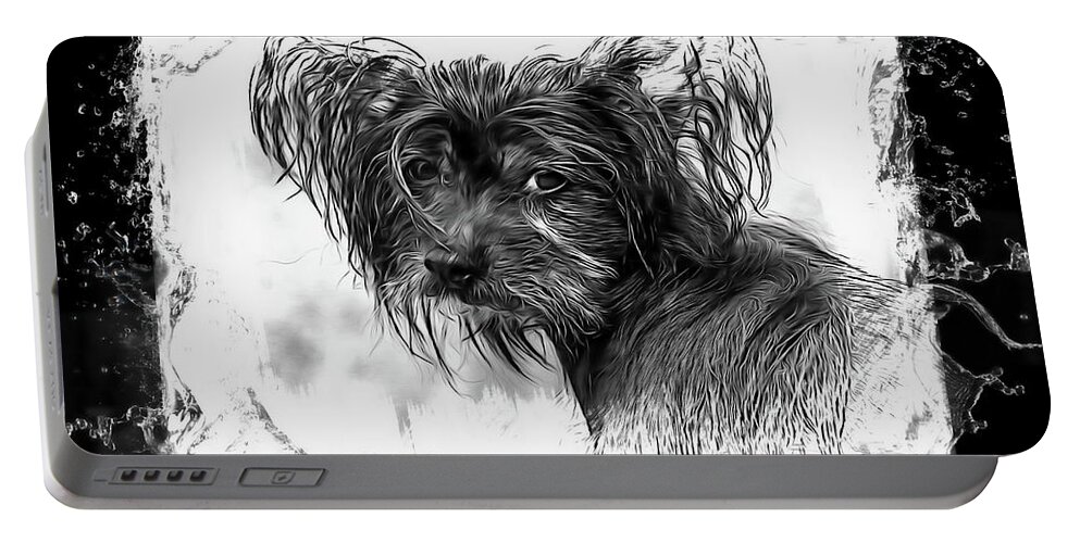 Dog Portable Battery Charger featuring the photograph Man's Best Friend #1 by Andrea Kollo