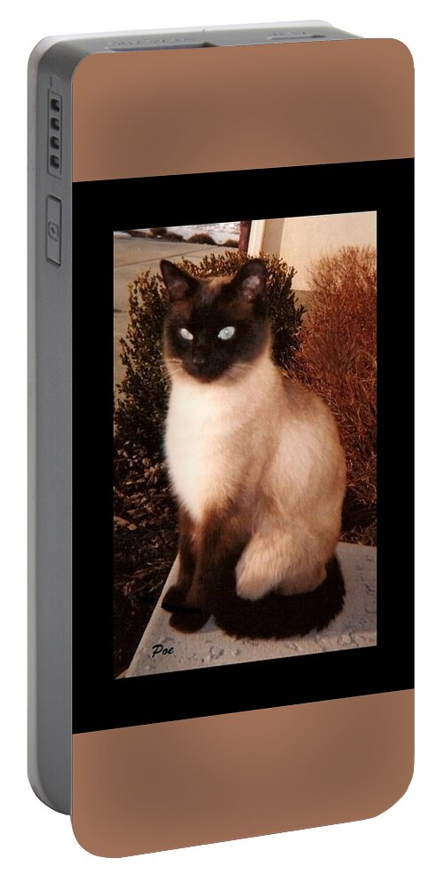 Felines Portable Battery Charger featuring the photograph Poe #2 by Diane Strain