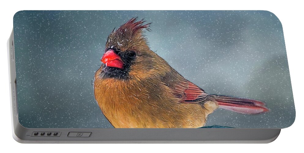 Bird Portable Battery Charger featuring the photograph Winter Cardinal by Cathy Kovarik