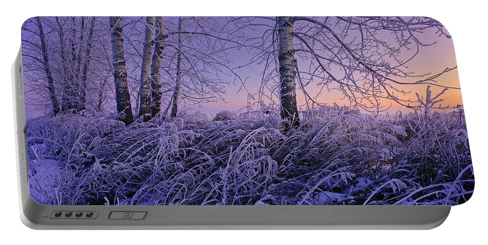 Winter Portable Battery Charger featuring the photograph Winter Frost #2 by Dan Jurak