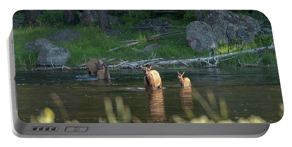 Elk Portable Battery Charger featuring the photograph 2018 Elk-2 by Tara Krauss