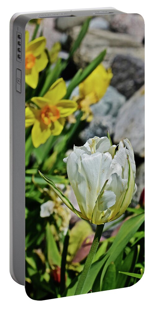 Tulips Portable Battery Charger featuring the photograph 2020 Acewood Tulips By the Water 2 by Janis Senungetuk