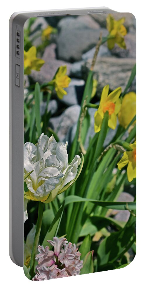 Tulips Portable Battery Charger featuring the photograph 2020 Acewood Tulips, Hyacinth and Daffodils by Janis Senungetuk