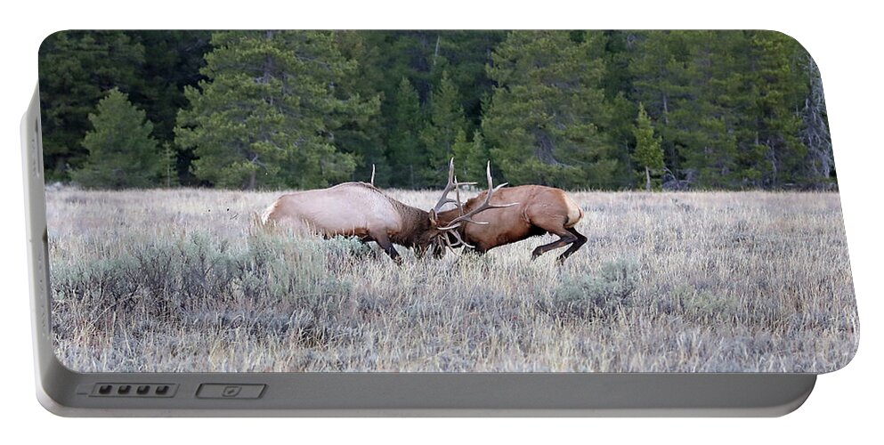 Elk Portable Battery Charger featuring the photograph 2020 Bull Elk by Jean Clark