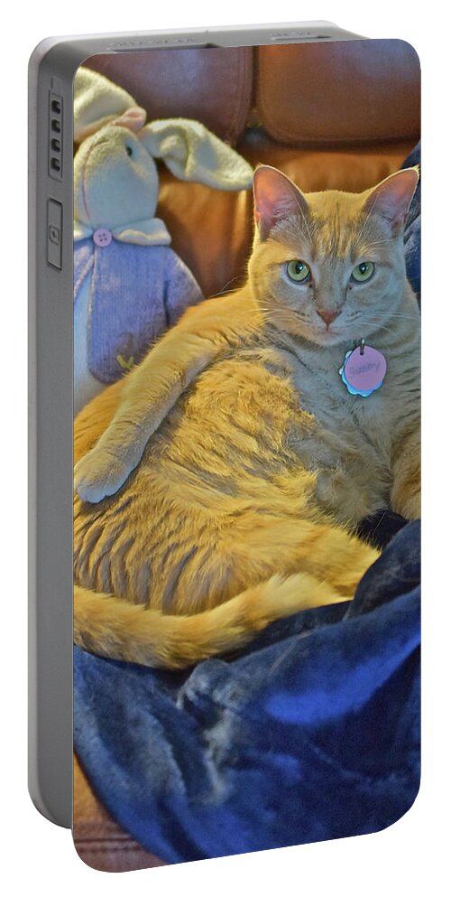 Tabby Cat Portable Battery Charger featuring the photograph 2020 Interrupted by Janis Senungetuk