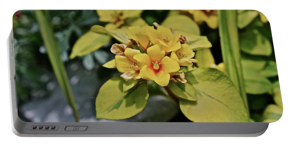 Flowers Portable Battery Charger featuring the photograph 2020 Mid June Garden Container 1 by Janis Senungetuk