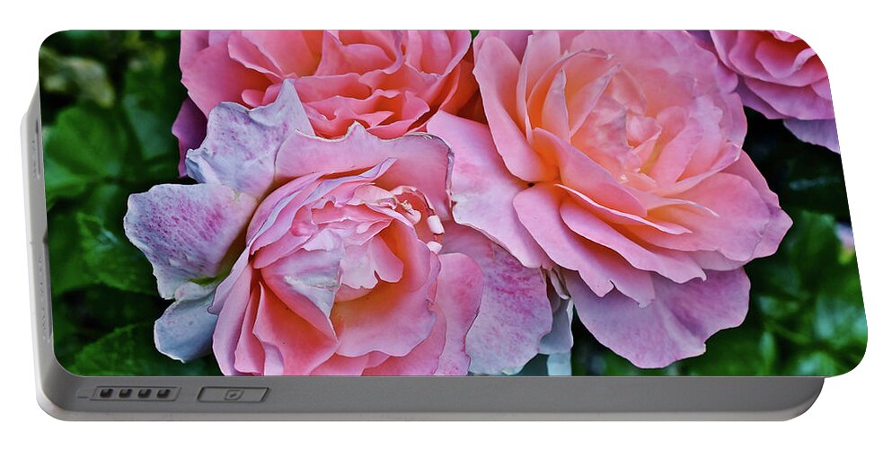 Roses Portable Battery Charger featuring the photograph 2020 Mid June Garden Coral Roses 1 by Janis Senungetuk