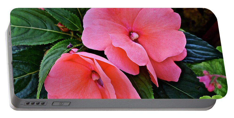 Impatiens Portable Battery Charger featuring the photograph 2020 Mid June Garden Impatiens by Janis Senungetuk
