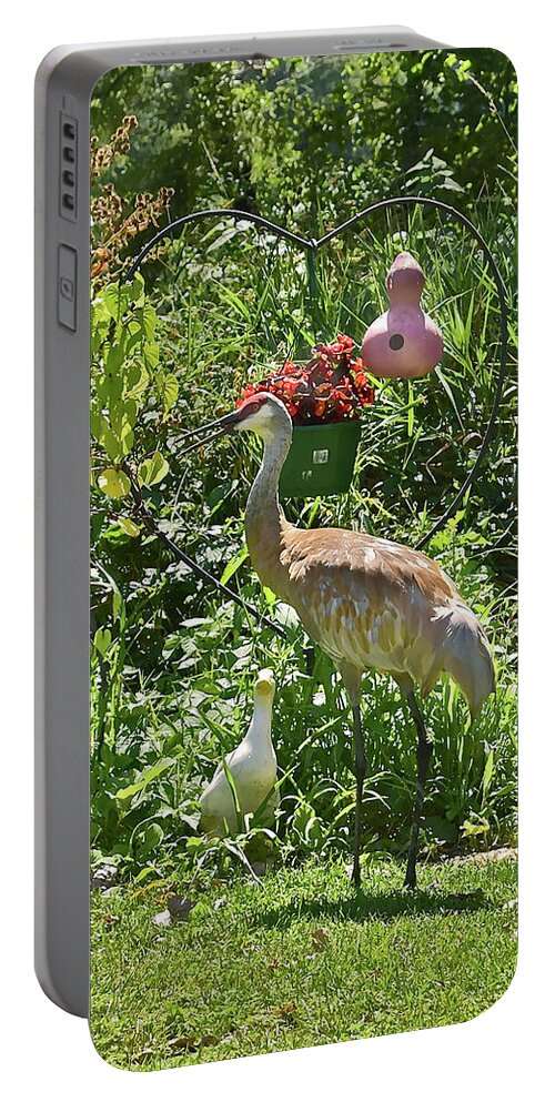 Sandhill Cranes Portable Battery Charger featuring the photograph 2021 August Sandhill Crane by Janis Senungetuk