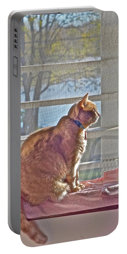 Tabby Cat Portable Battery Charger featuring the photograph 2021 End of October Looking Out by Janis Senungetuk