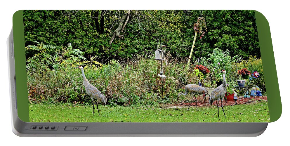 Sandhill Cranes; Backyard; Birds; Portable Battery Charger featuring the photograph 2021 Fall Sandhill Cranes 2 by Janis Senungetuk