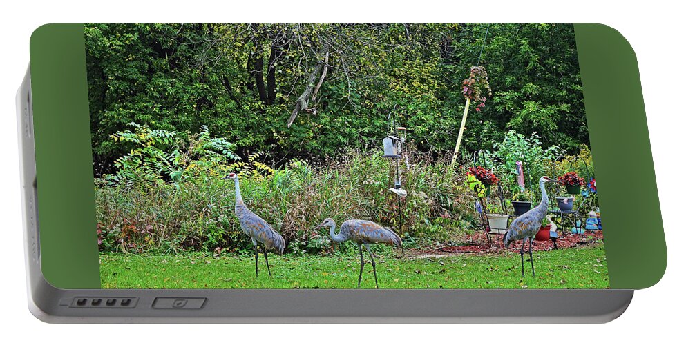 Sandhill Cranes Portable Battery Charger featuring the photograph 2021 Fall Sandhill Cranes 3 by Janis Senungetuk