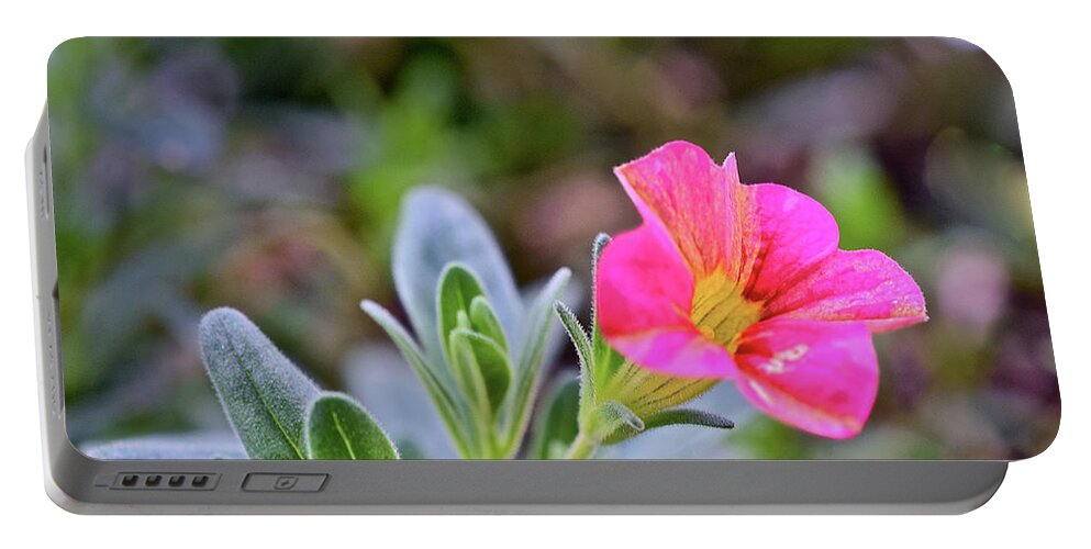 Flowers Portable Battery Charger featuring the photograph 2021 Tropical Sunrise Breeze by Janis Senungetuk
