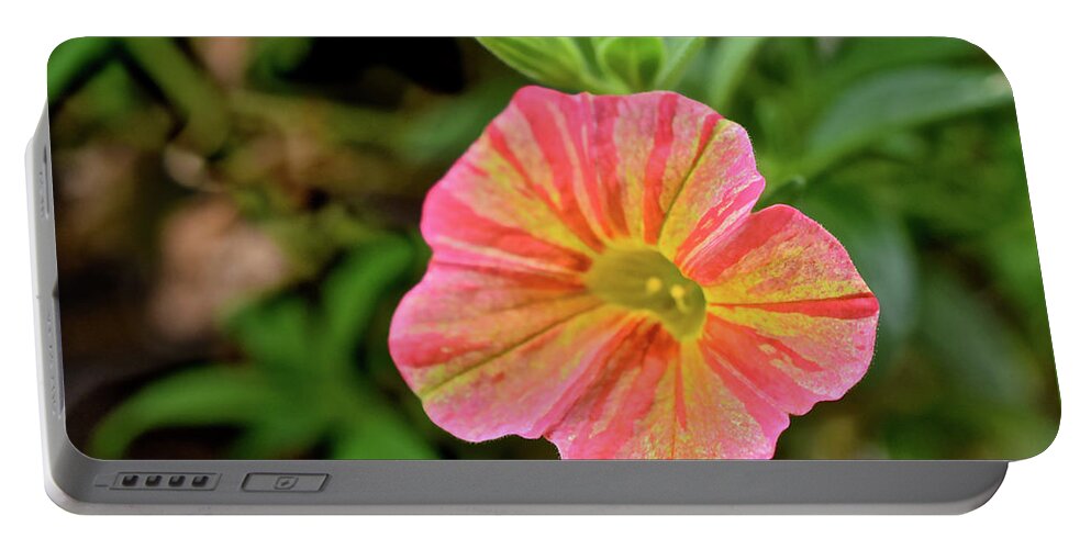 Flowers Portable Battery Charger featuring the photograph 2021 Tropical Sunrise Greeting by Janis Senungetuk