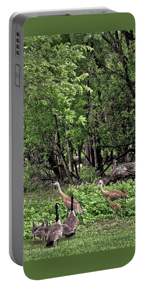 Sandhill Cranes Portable Battery Charger featuring the photograph 2022 Busy Afternoon at the Basin by Janis Senungetuk