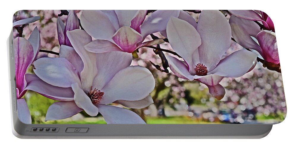 Magnolia Portable Battery Charger featuring the photograph 2022 Vernon Magnolia 1 by Janis Senungetuk