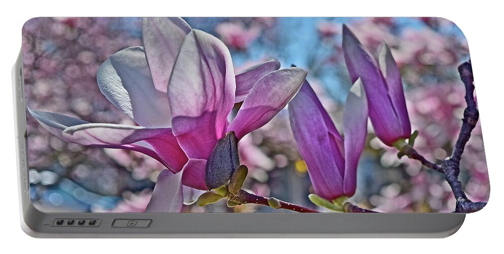 Magnolia Portable Battery Charger featuring the photograph 2022 Vernon Magnolia Neighbor 2 by Janis Senungetuk