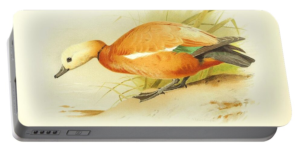 Ducks Portable Battery Charger featuring the mixed media Beautiful antique waterfowl #205 by World Art Collective