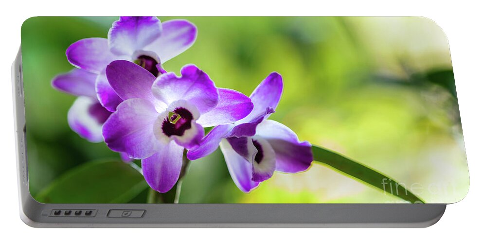 Background Portable Battery Charger featuring the photograph Purple Orchid Flowers #22 by Raul Rodriguez