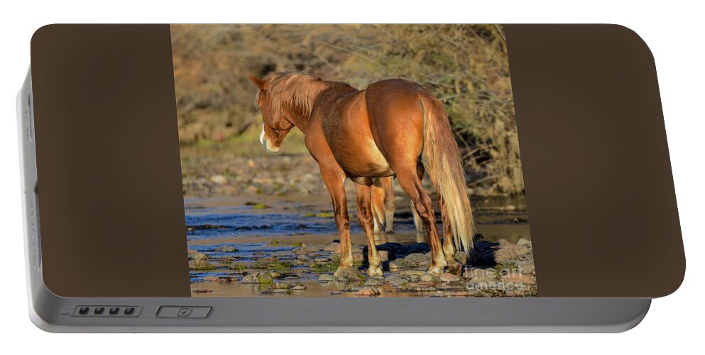 Salt River Wild Horse Portable Battery Charger featuring the digital art Salt River Wild Horse #26 by Tammy Keyes