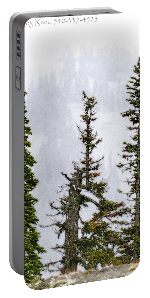 Washington State Portable Battery Charger featuring the photograph 3 Amigos by Greg Reed