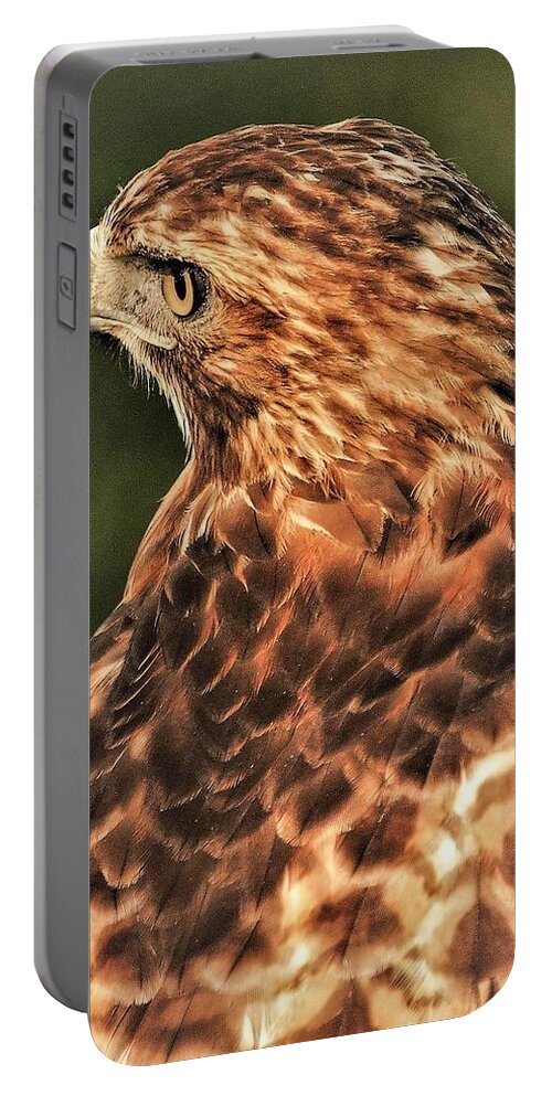 Bird Of Pray Feathers Eye Portable Battery Charger featuring the photograph Bird1 by John Linnemeyer