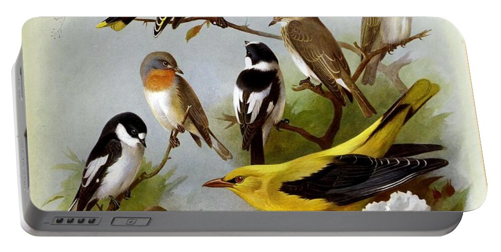 Birds Portable Battery Charger featuring the mixed media Birds By Archibald Thorburn #3 by World Art Collective