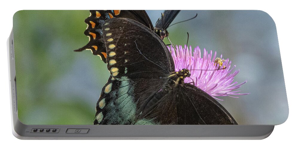 Butterfly Portable Battery Charger featuring the photograph Butterfly vIII #3 by Al Griffin