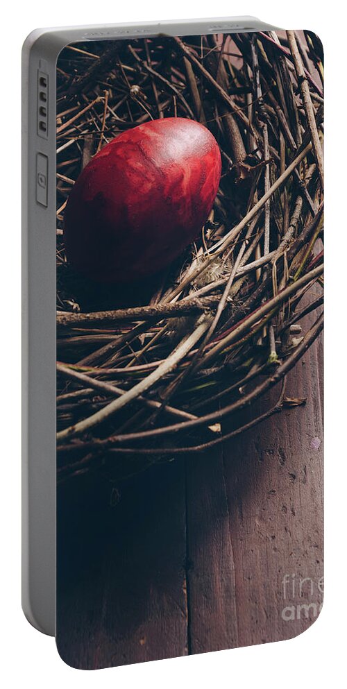 Easter Portable Battery Charger featuring the photograph Easter Egg #3 by Jelena Jovanovic