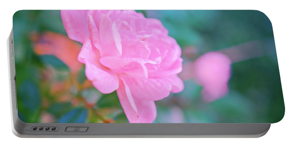 Pink Rose Portable Battery Charger featuring the photograph Pink Rose a by Lilia S