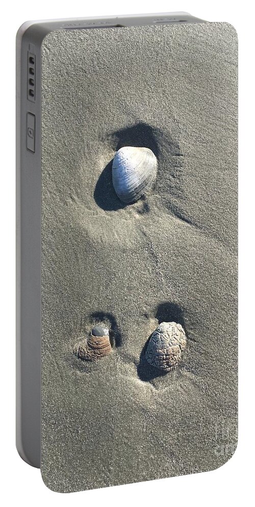Seashells Portable Battery Charger featuring the photograph 3 Seashells by Mary Kobet
