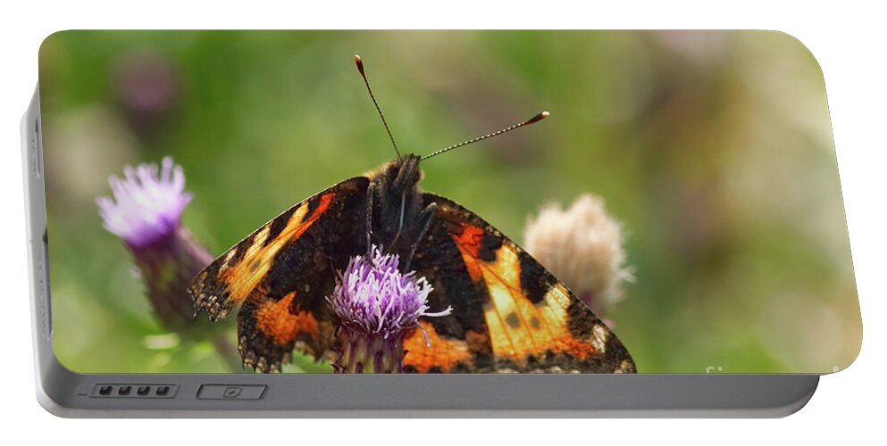 Dove Stone Reservoir Portable Battery Charger featuring the photograph Tortoiseshell Butterfly, taken at Dove Stone Reservoir #3 by Pics By Tony