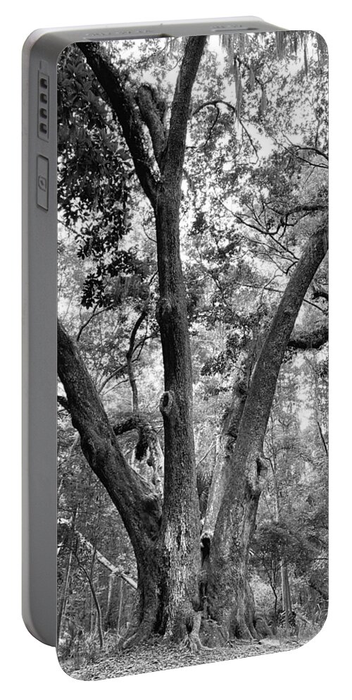 Tree Portable Battery Charger featuring the photograph 3 Tree BW by Lee Darnell