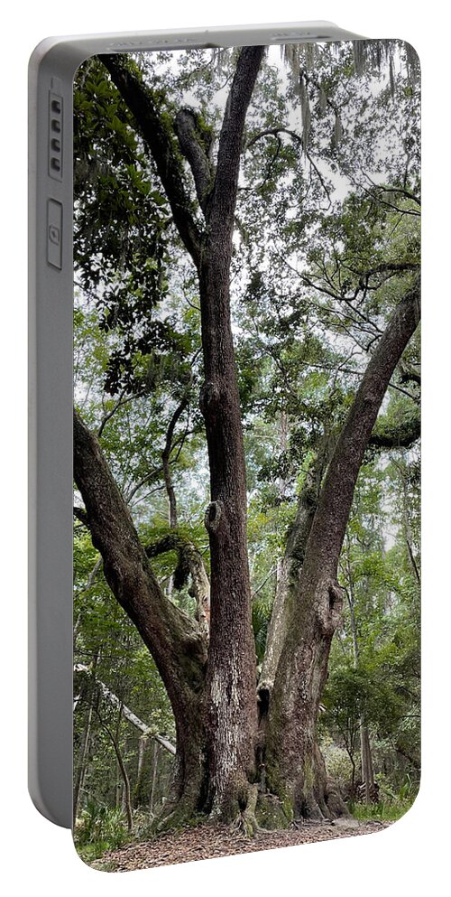 Tree Portable Battery Charger featuring the photograph 3 Tree by Lee Darnell