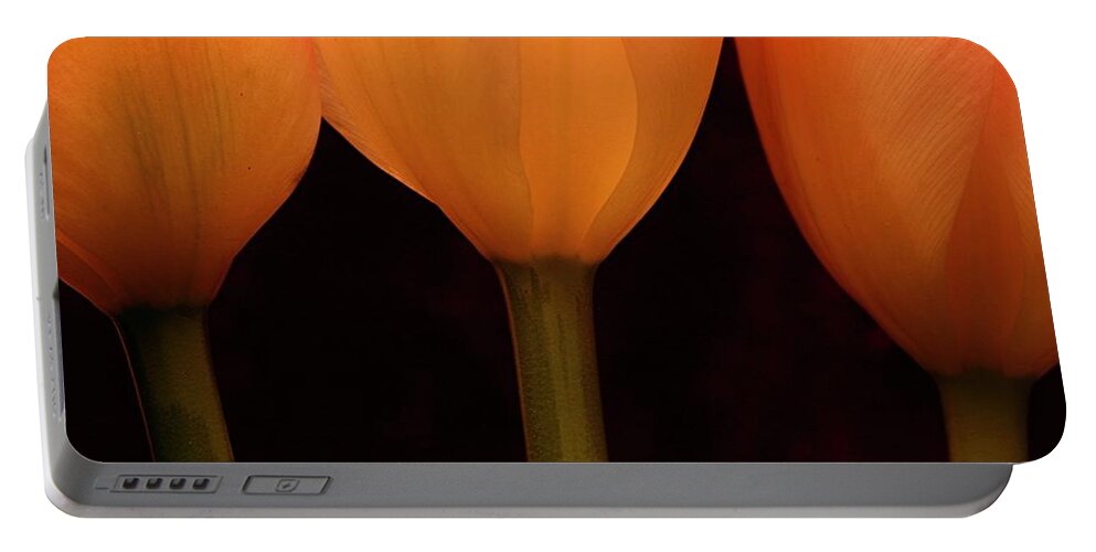 Macro Portable Battery Charger featuring the photograph 3 Tulips by Julie Powell
